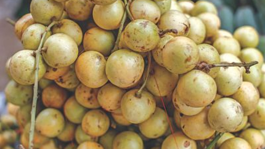 fruits7.jpg