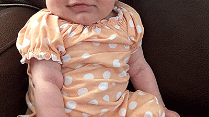 full-haired-baby-5-web.gif