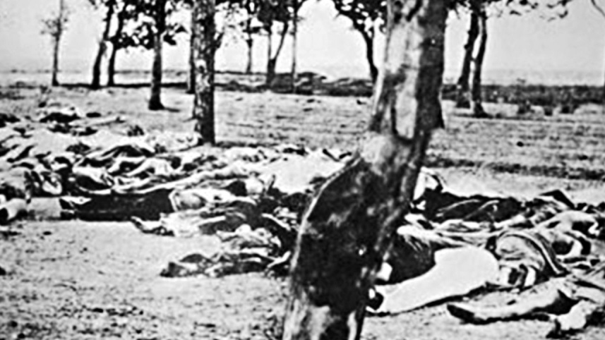 genocide
