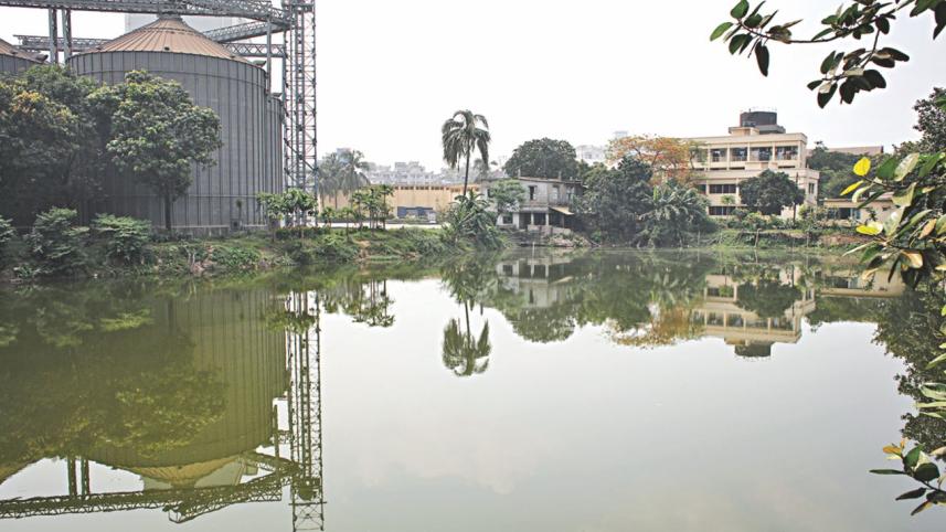 govt_modern_flour_mill_pond.jpg