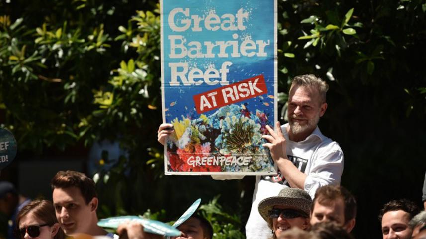 Great barrier reef--1.jpg