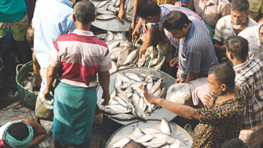 great_fish_debate_2.jpg