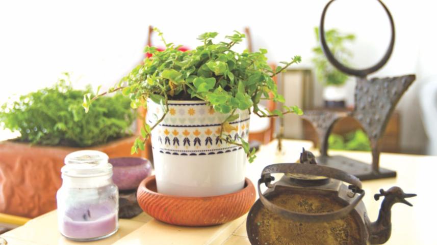 Green decor