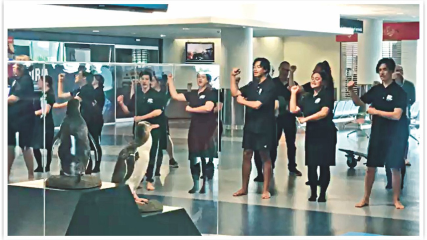 hake_dance.jpg