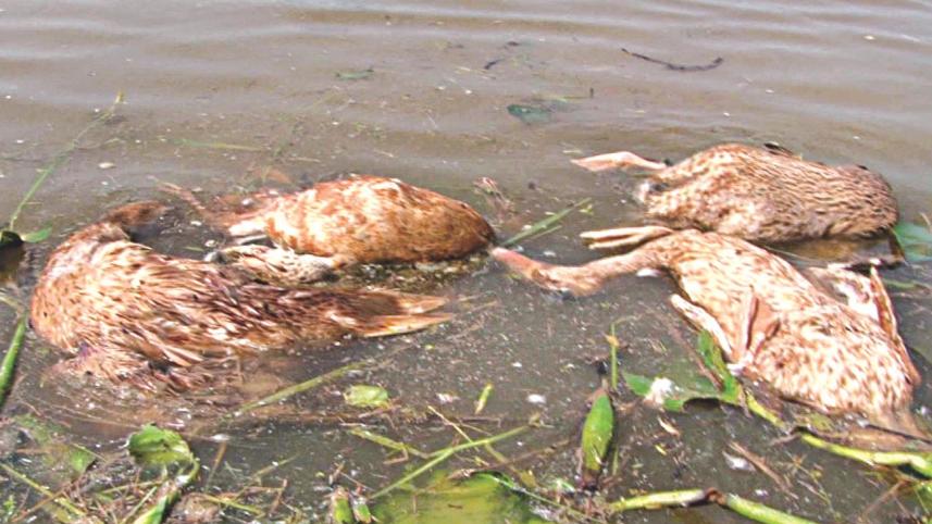 haor_disaster_3.jpg