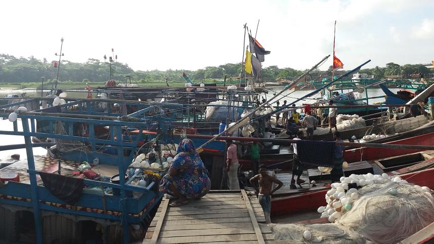 hilsha_fish_2.jpg