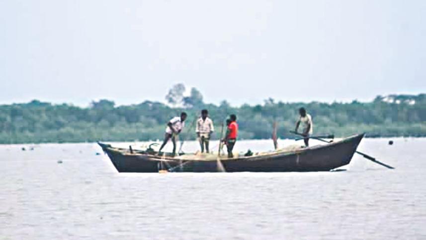 hilsha_netting_1.jpg