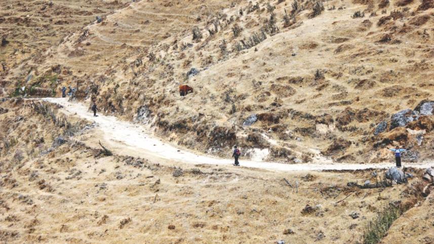 Himalayan Trek