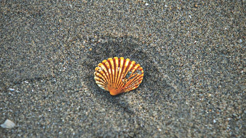 Hit The Beach 3.jpg