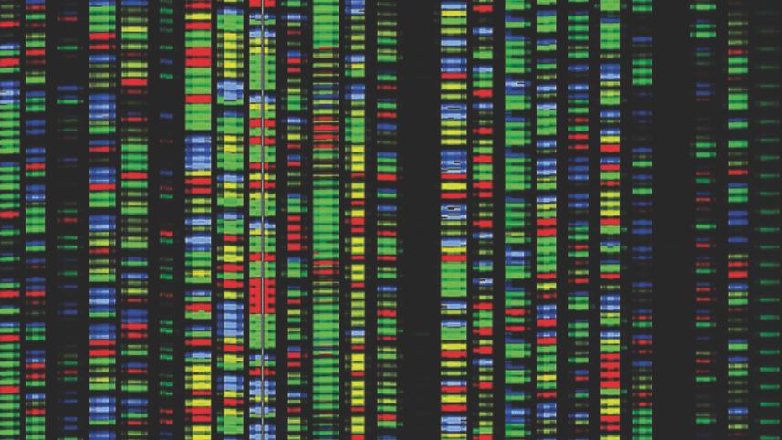 human gene.jpg