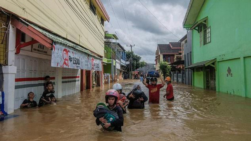 indo-2-wb.jpg