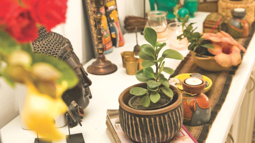 indoor garden