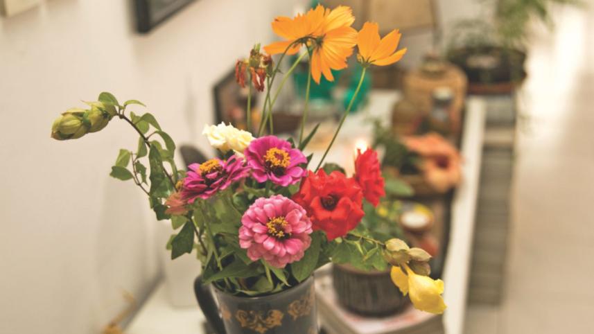 indoor garden