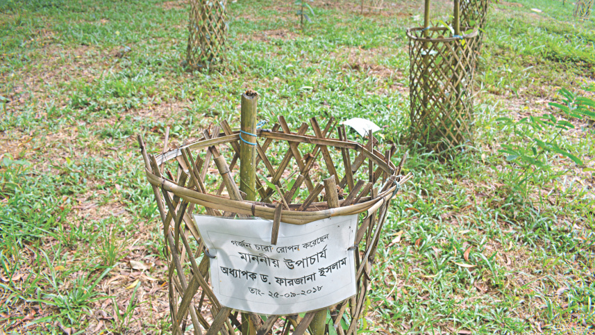 jahangirnagar_university_campus_3.jpg