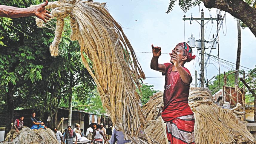 jute 7.jpg