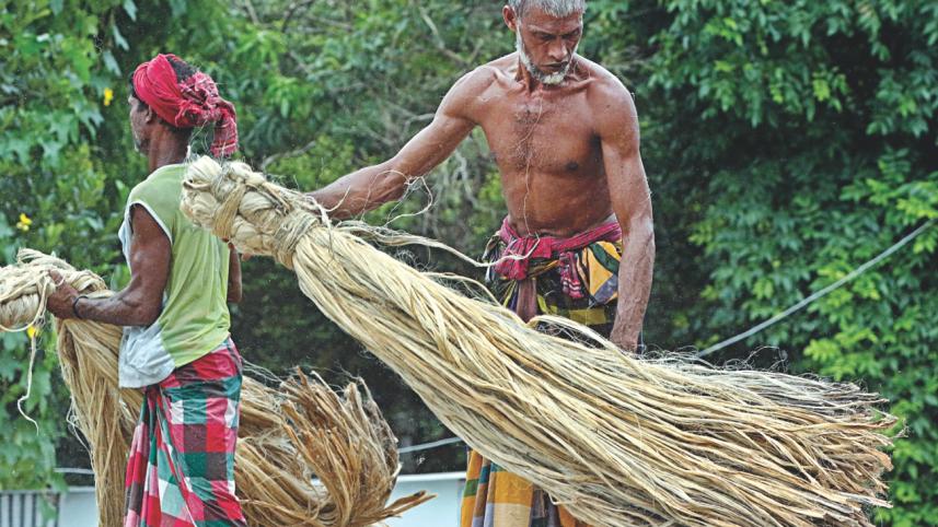 jute 8.jpg