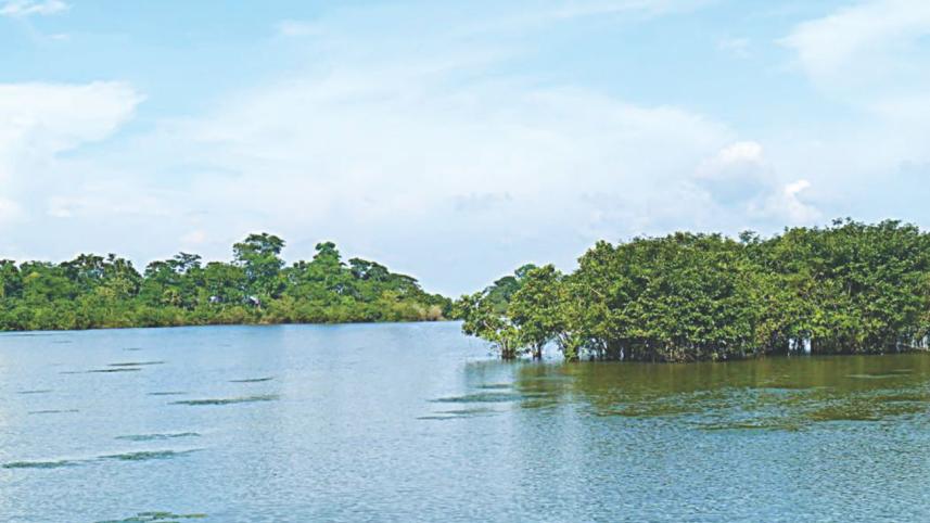 kathalbari_1.jpg