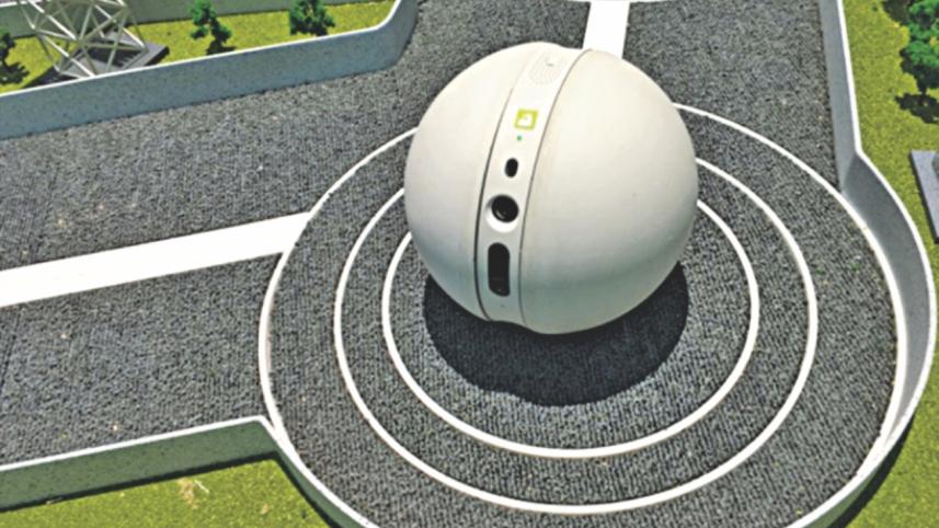 LG Rolling Bot.jpg