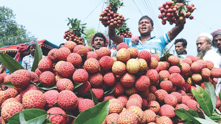 litchis 1.jpg