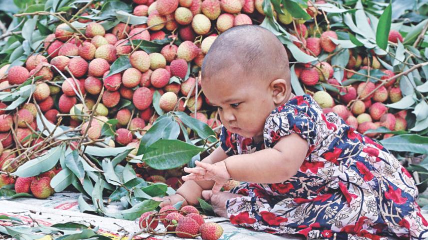 litchis 6.jpg