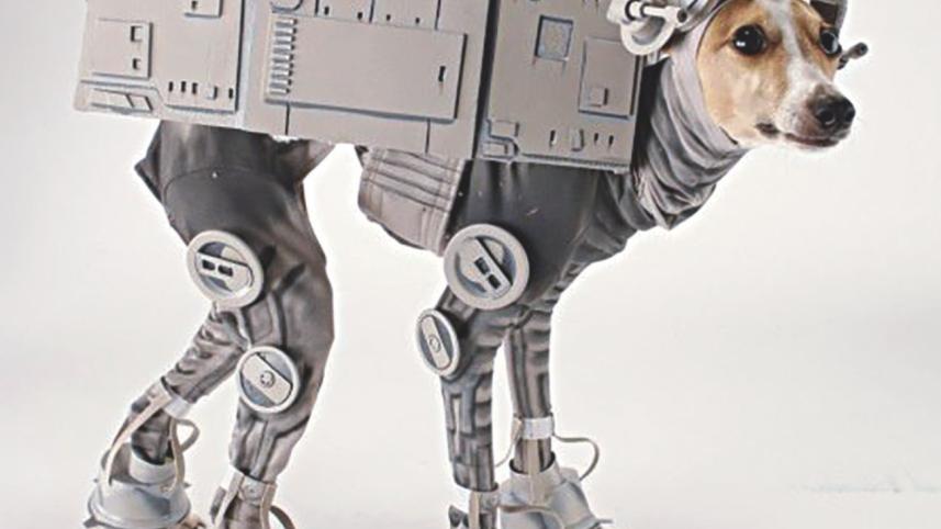 living_with_robots