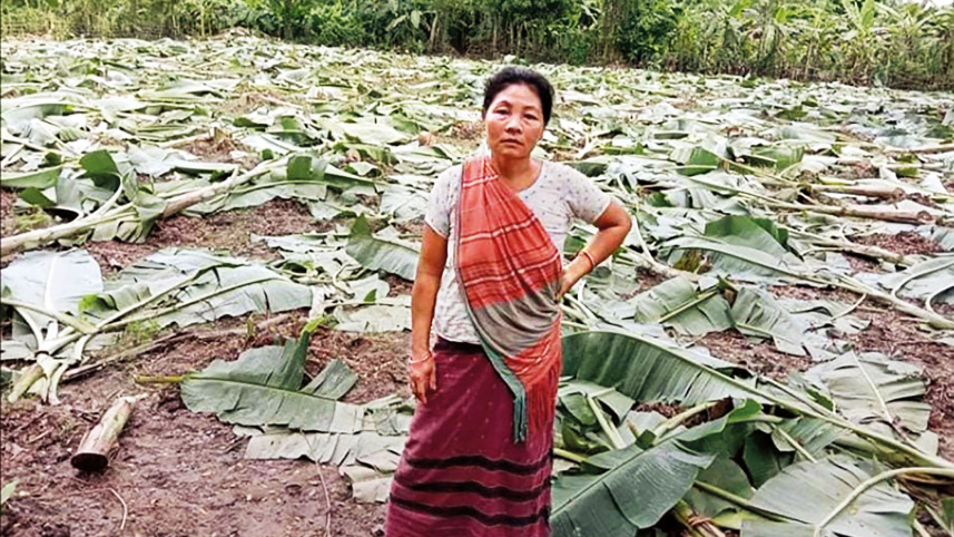 madhupur1.jpg