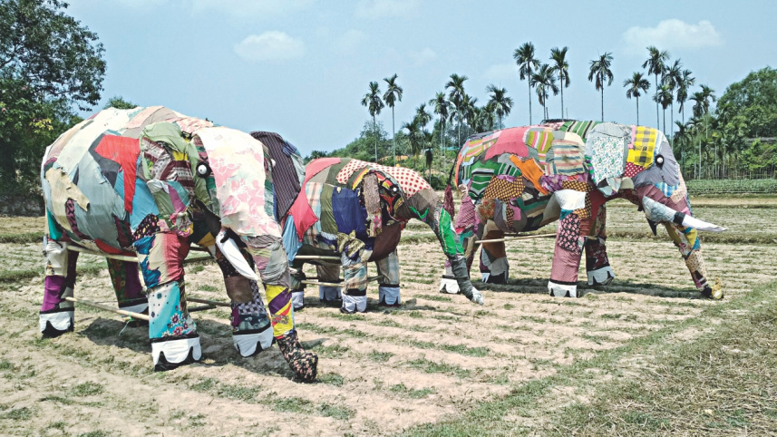 majhi12.jpg