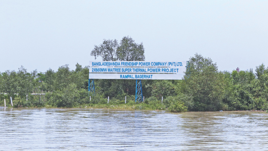 mangroves_survive_3.jpg