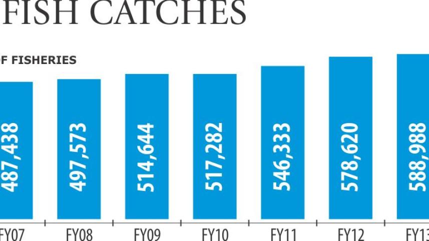 marine fish stock 22.jpg