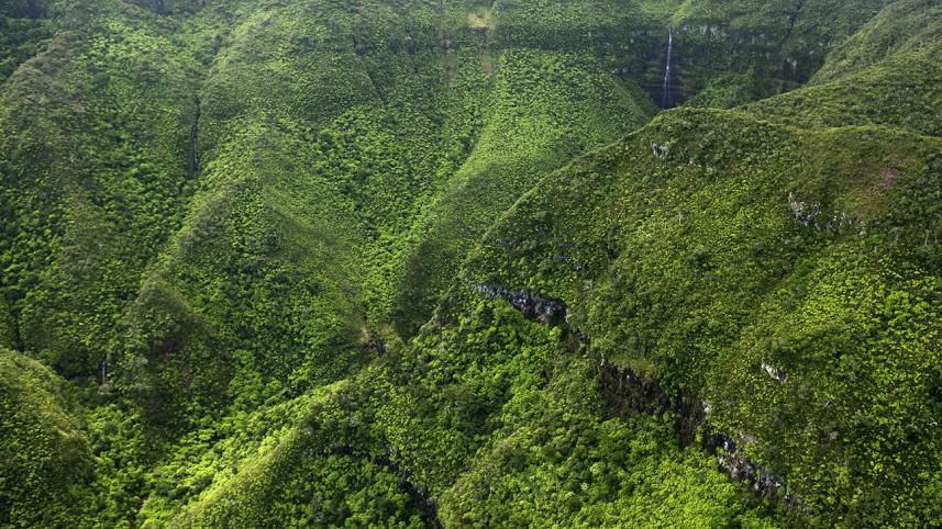 mauritius_4.jpg