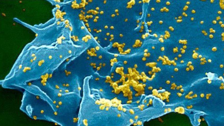 Mers-1.jpg