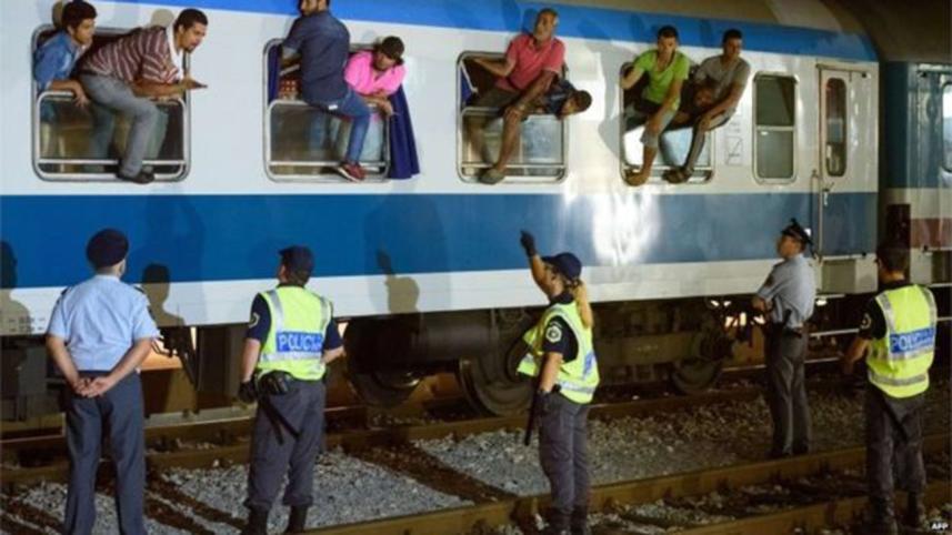 migrant-3.jpg