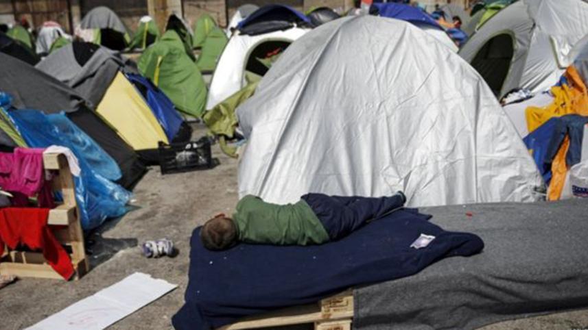migrant-4-web.jpg