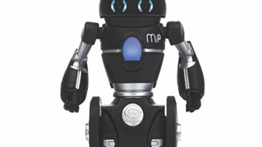 mip.jpg