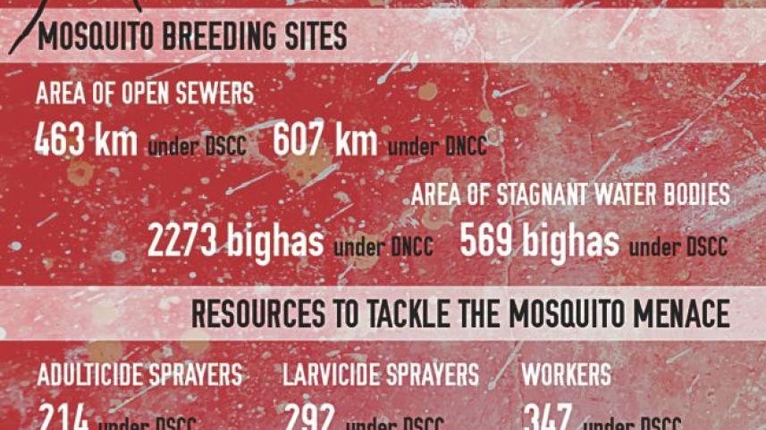 mosquitoe 33.jpg