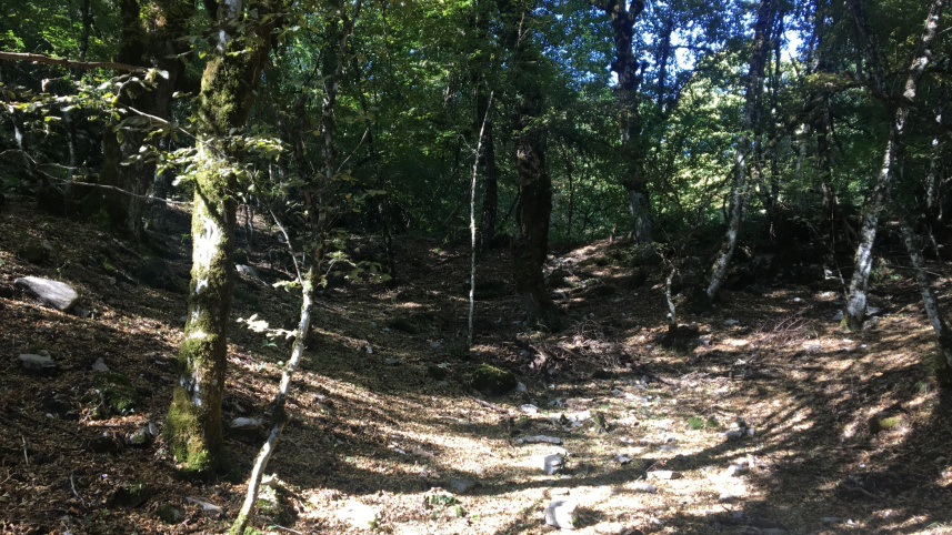 mountains_of_greece9_0.jpg