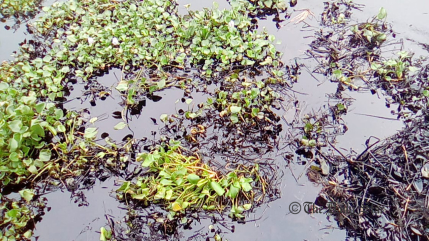 munshiganj_pic_2.jpg