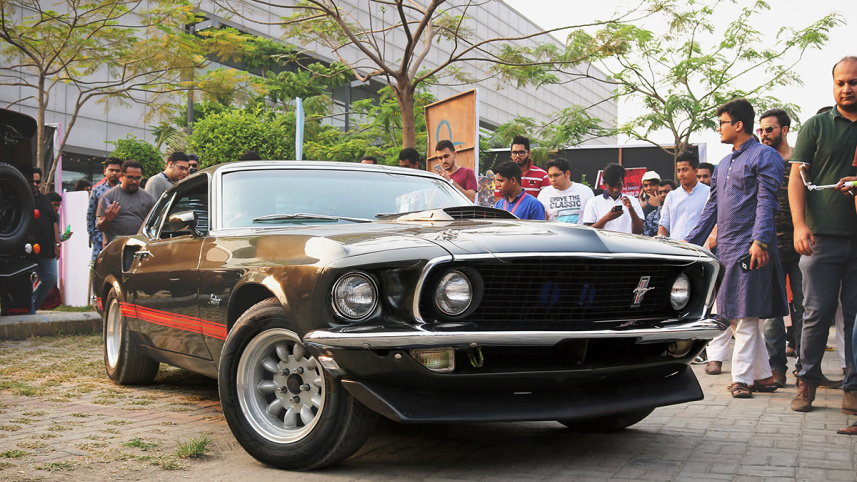 mustang_2_0.jpg