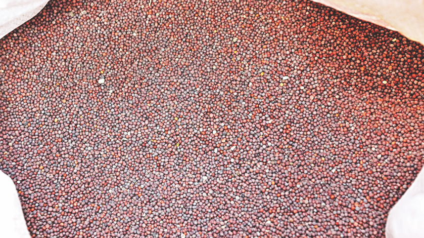 mustard_oil3.jpg
