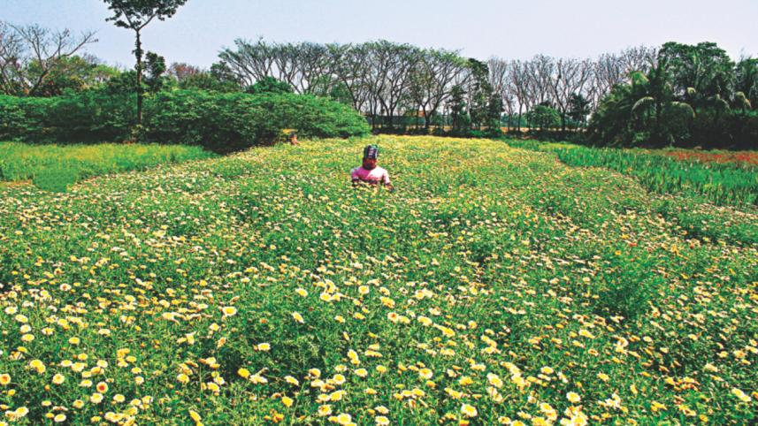 Narayanganj.jpg