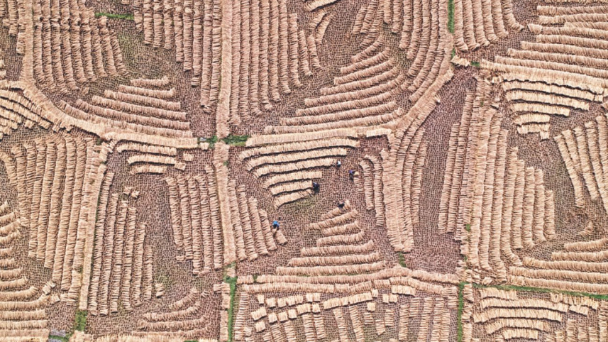 nature6.jpg