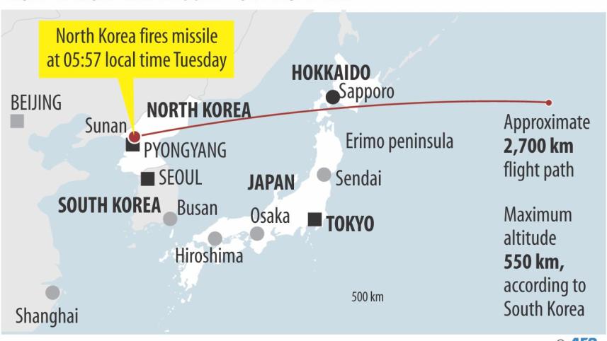 nk.jpg