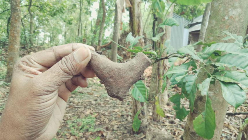 pabna_heritage_4.jpg