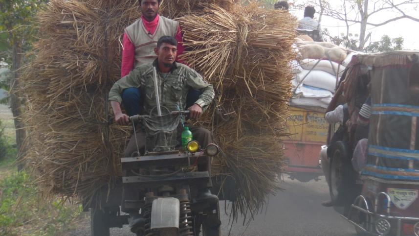 paddy_straw_carry.jpg