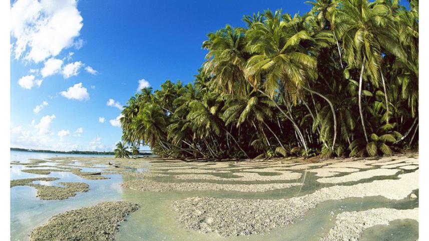 Palmyra Atoll-5.jpg