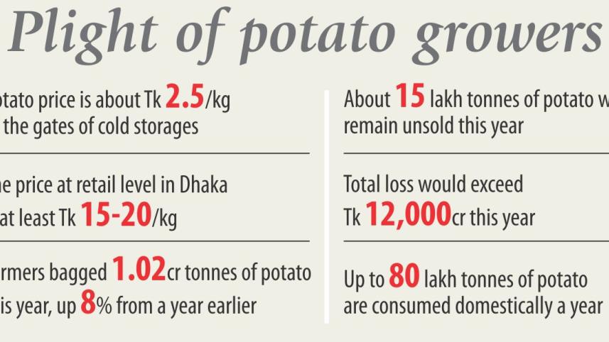 potato_growers_plight.jpg