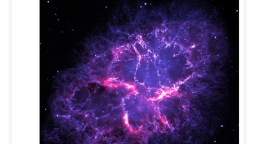 Prince-purple-3-web.jpg