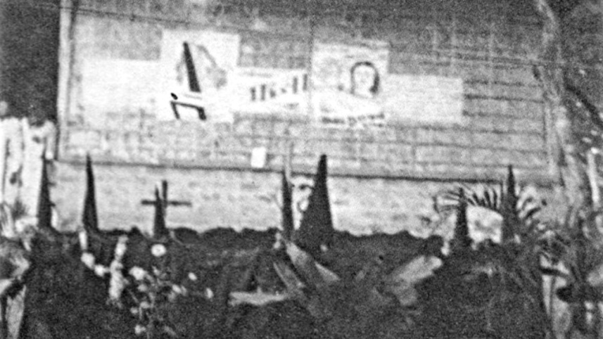 rare_pictures_11.jpg