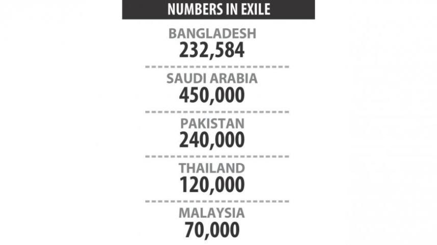 Rohingya fact box