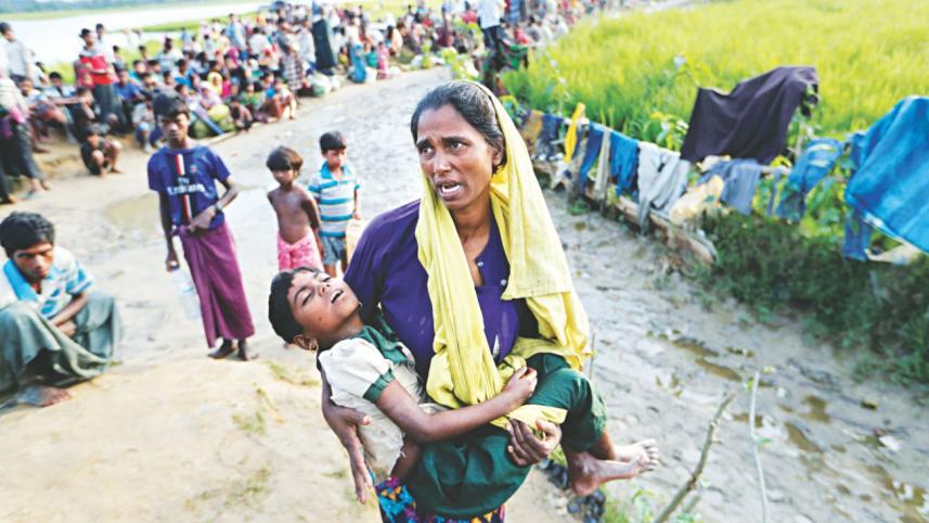 Rohingya influx, Rohingya refugee